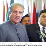 اساڈے نینگراں کیتے انفارمیشن ٹیکنالوجی اچ اگی تے ودھنڑ دے موقع موجود ہن ،وفاقی وزیر تعلیم شفقت محمود اساڈے نینگراں کیتے انفارمیشن ٹیکنالوجی اچ اگی تے ودھنڑ دے موقع موجود ہن ،وفاقی وزیر تعلیم شفقت محمود