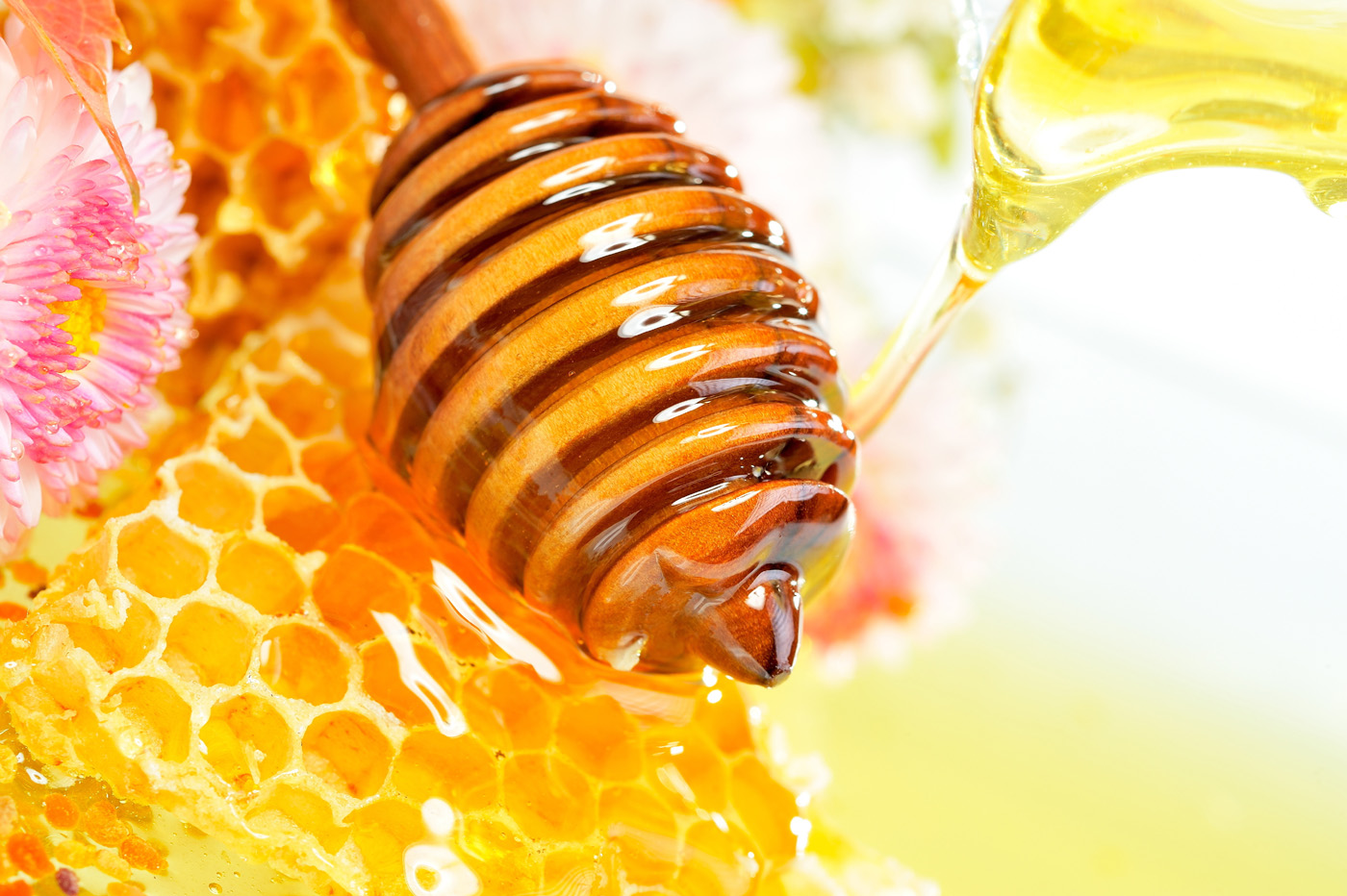 Honey-D