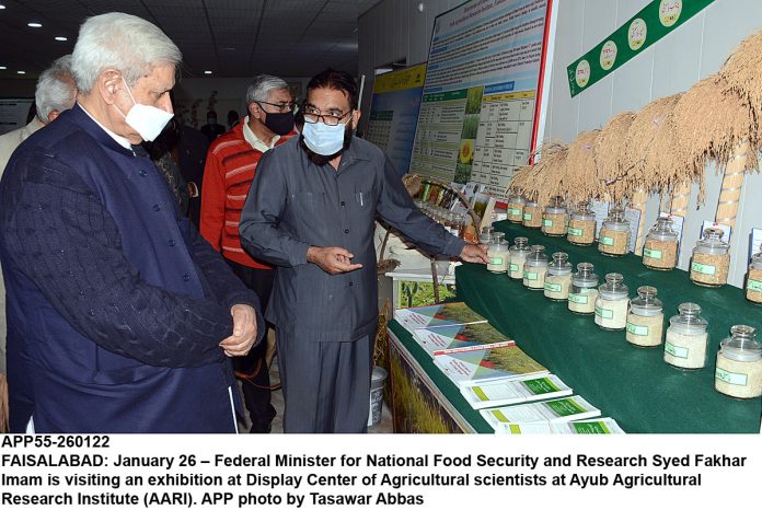 APP55-260122Faisalabad