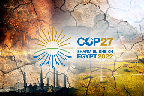 cop27
