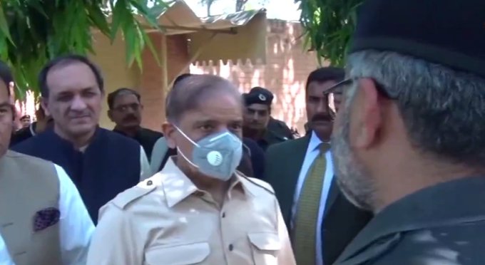 shahbaz
