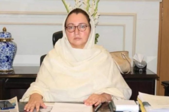 Commissioner-Musarrat-Jabeen-768x508