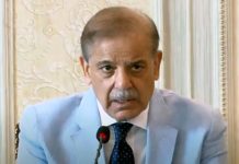 آپسی احترام اتے سفارتکاری نال ڄھیڑے پرامن طور تے حل کرݨ چاہندے ہیں، وزیراعظم دی ایس سی او سانڳے مختلف اجلاساں اچ ڳالھ مہاڑ