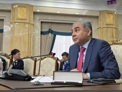 Minister of interior pakistan