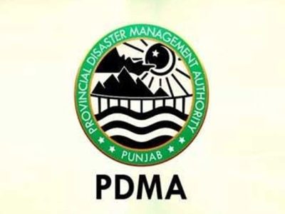 PDMA-1