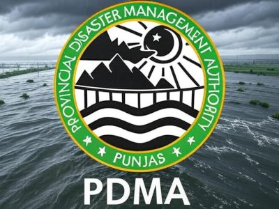 PDMA