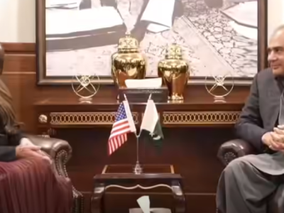 naqvi